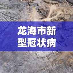 龙海市新型冠状病毒最新消息