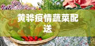 一分钟介绍使用“蛮王大厅有没有挂”揭秘透视辅助万能挂