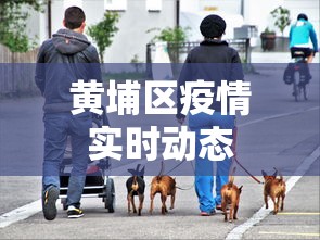 黄埔区疫情实时动态