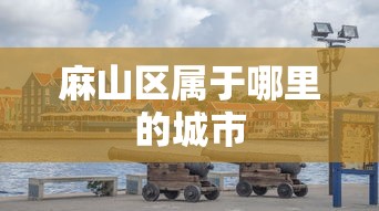麻山区属于哪里的城市
