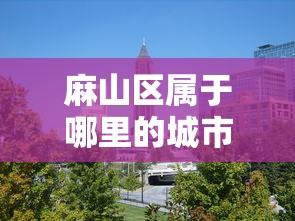 麻山区属于哪里的城市