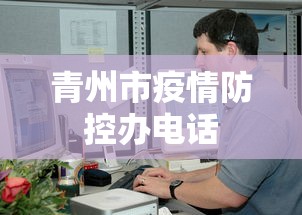 青山区新型冠状病毒感染肺炎防控工作指挥部电话