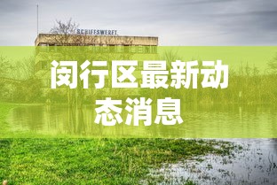 分享知识“微乐亲友房怎么赢”有挂详细开挂教程