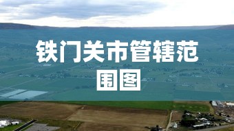 终于清楚“微乐陕西三带到底有没有挂”(详细透视教程)-