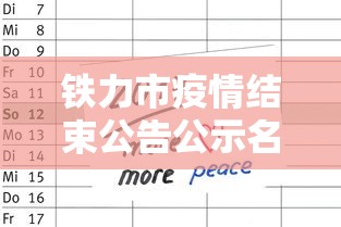 使用分享!HH Poker辅助安装”辅助神器插件下载