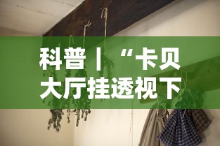 科普｜“卡贝大厅挂透视下载”分享必要外挂教程