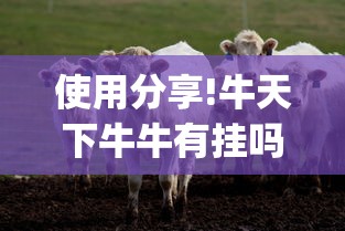 使用分享!牛天下牛牛有挂吗”(详细开挂教程)