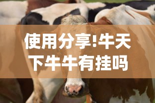 使用分享!牛天下牛牛有挂吗”(详细开挂教程)