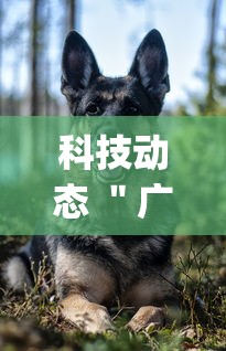 科技动态 ＂广东雀神麻将怎么开挂”(果然有透视挂)
