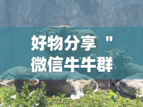 好物分享 ＂微信牛牛群有透视挂吗	”(透视)辅助透视教程