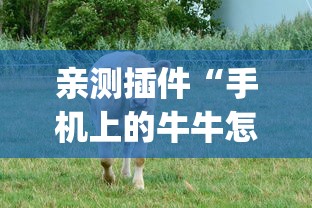 亲测插件“手机上的牛牛怎么打才能赢(透视挂真的假的)