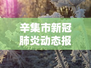 辛集市新冠肺炎动态报告查询 辛集市新冠肺炎动态报告查询