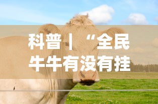 科普｜“全民牛牛有没有挂”(透视)其实确实有挂