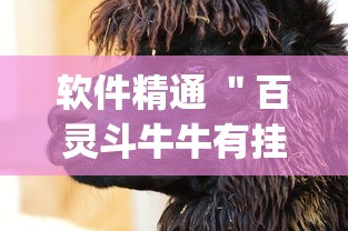 软件精通 ＂百灵斗牛牛有挂吗	”(透视)其实真的有挂