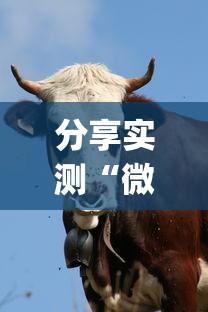 分享实测“微信斗牛牛牛群有挂吗	”(其实是有挂)