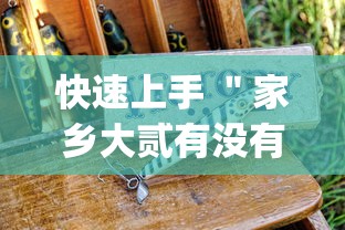 快速上手 ＂家乡大贰有没有人开挂”(原来确实是有挂)