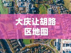 大庆让胡路区地图