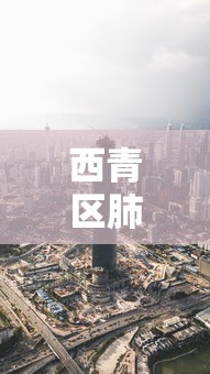 西青区肺炎疫情最新消息