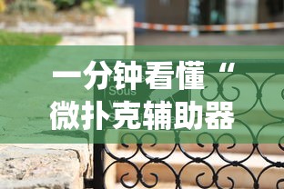 一分钟看懂“微扑克辅助器app”(详细辅助脚本)
