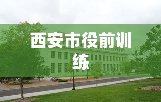 西安市役前训练