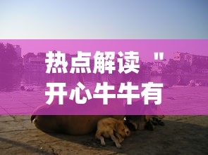 热点解读 ＂开心牛牛有挂吗”(果然有透视挂)