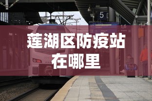 莲湖区防疫站在哪里